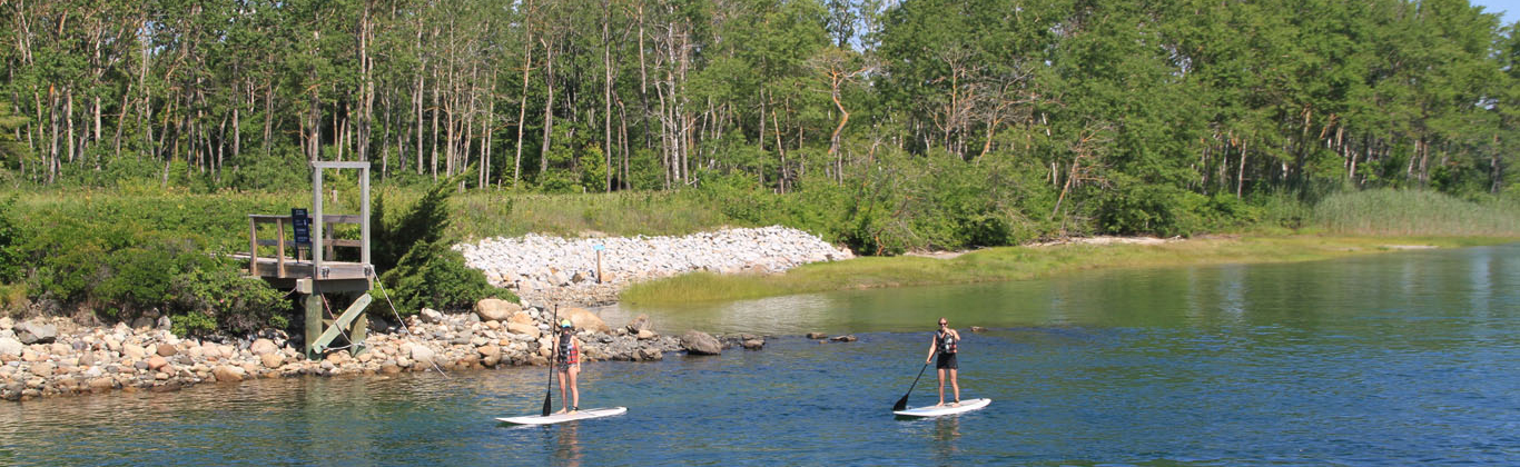 activity-paddle-boarding