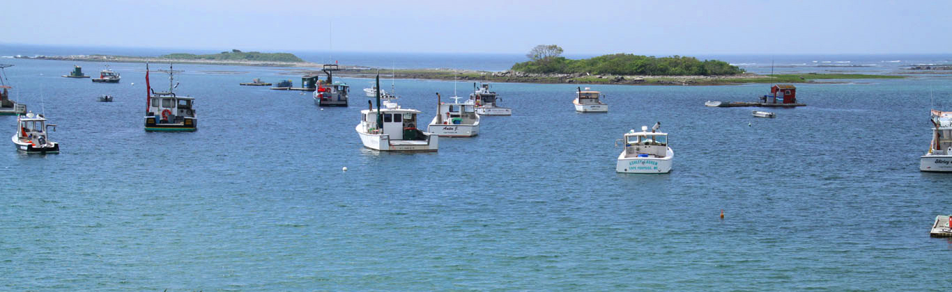 kennebunkport-cape-porpoise-lobster-boats
