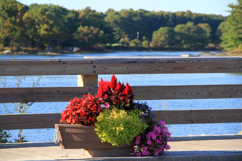 Fall Foliage and Autumn Images of Kennebunkport Maine and Kennebunk ...