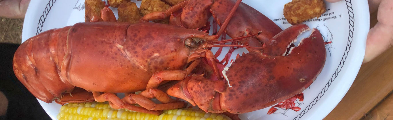 Kennebunkport Maine Lobster