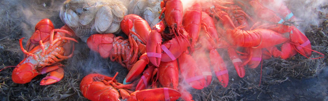 restaurant-lobsters-baked