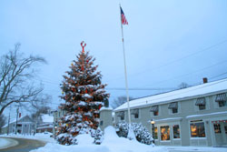 christmas-snowy-tree